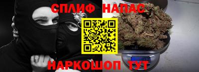 шишки Пугачёв
